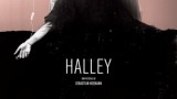 halley-2