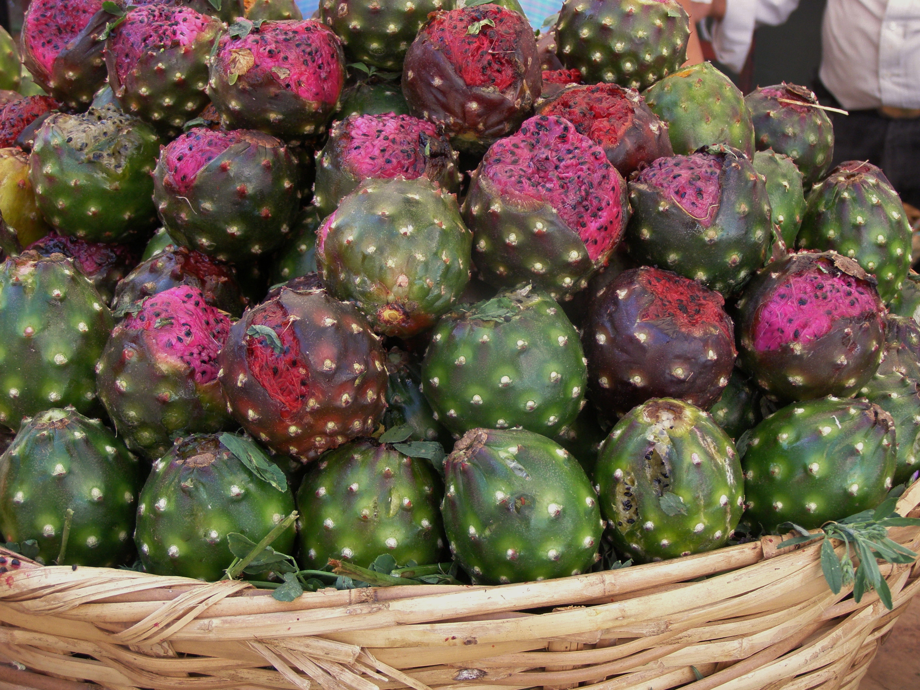 ¡Llegaron las pitayas!