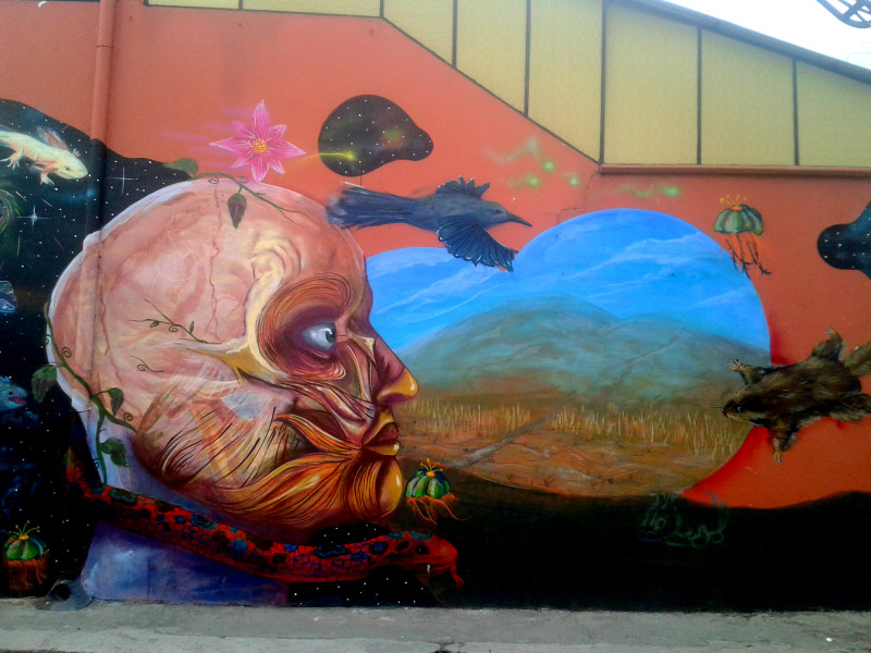 “Salvemos Tezontlalli”. Foto: Leo Tovar Gaona