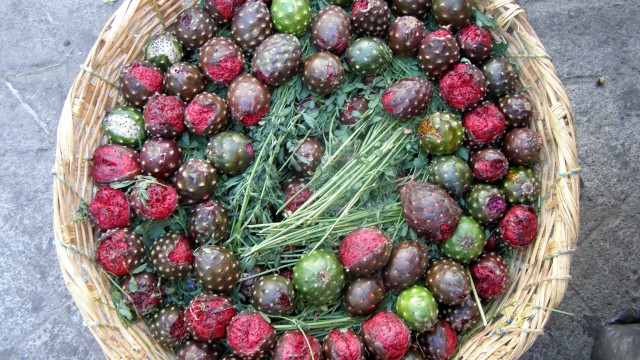 Pitayas