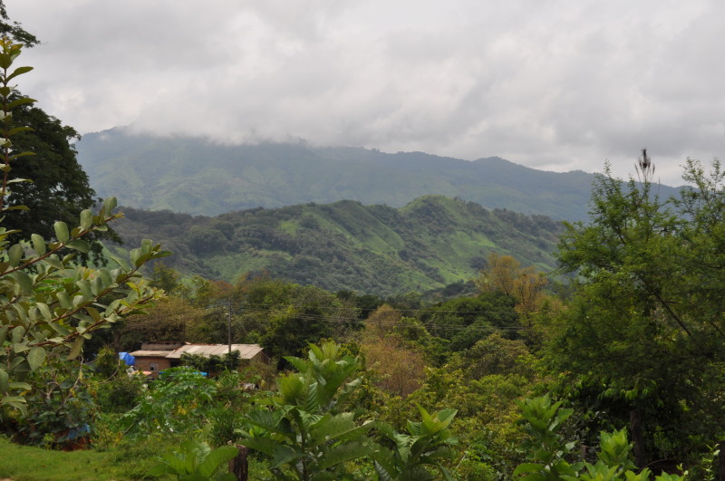 Sierra de Manantlán. Foto: César Octavio Huerta